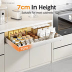 Pull out Cabinet Organizer