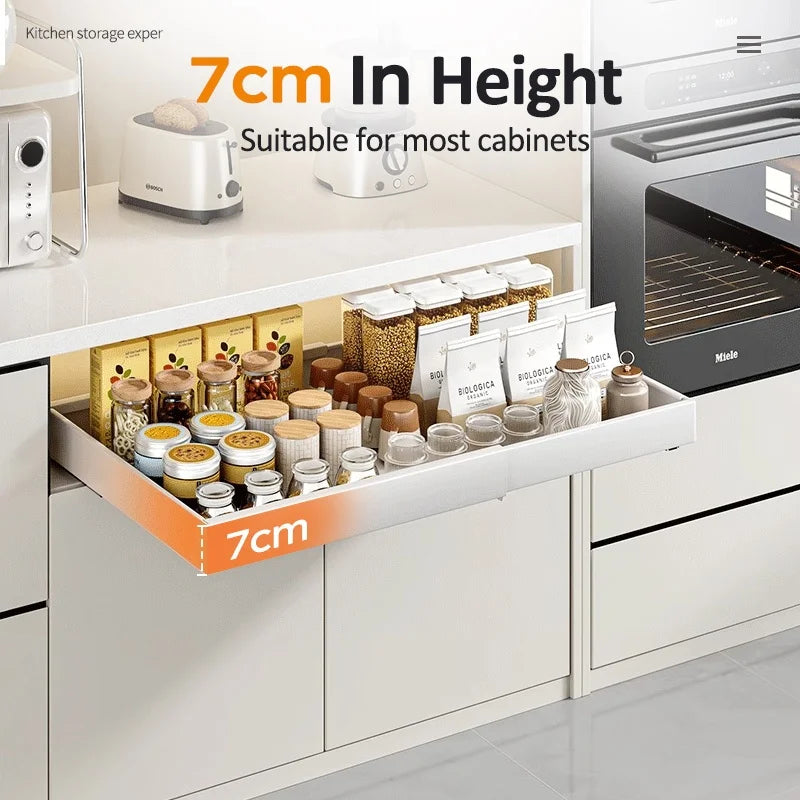 Pull out Cabinet Organizer